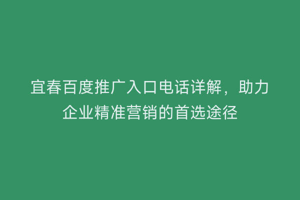 宜春百度推广入口电话详解,助力企业精准营销的首选途径