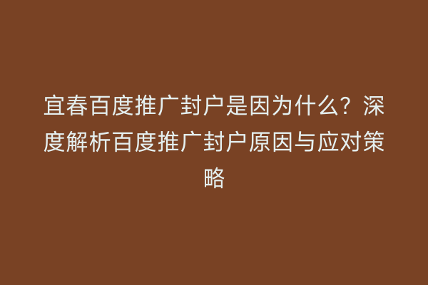 宜春百度推广封户是因为什么？深度解析百度推广封户原因与应对策略