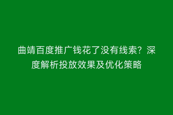 曲靖百度推广钱花了没有线索?深度解析投放效果及优化策略