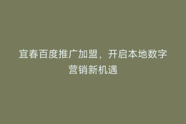 宜春百度推广加盟，开启本地数字营销新机遇