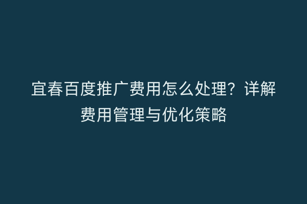 宜春百度推广费用怎么处理?详解费用管理与优化策略