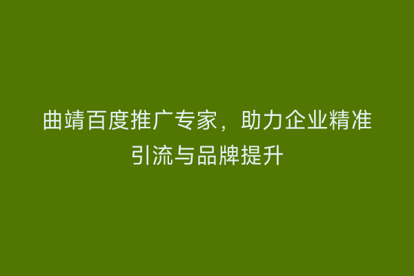 曲靖百度推广专家,助力企业精准引流与品牌提升