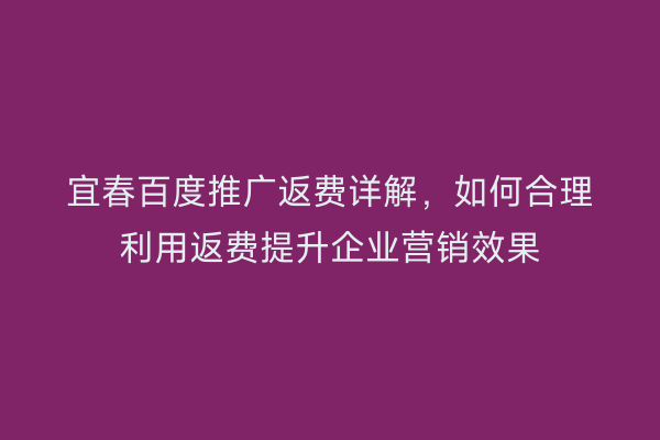 宜春百度推广返费详解,如何合理利用返费提升企业营销效果