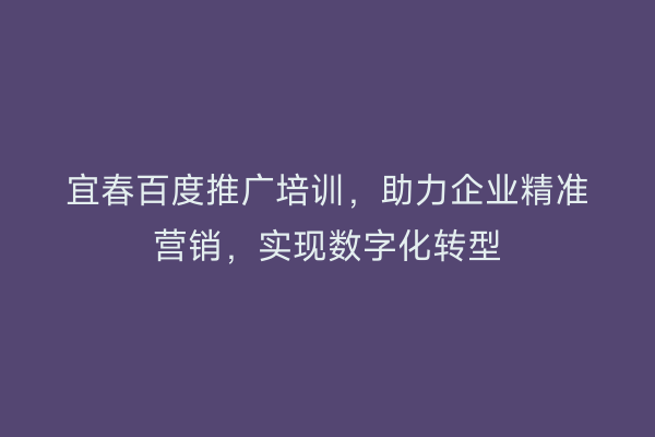 宜春百度推广培训,助力企业精准营销,实现数字化转型