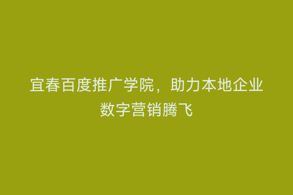 宜春百度推广学院,助力本地企业数字营销腾飞