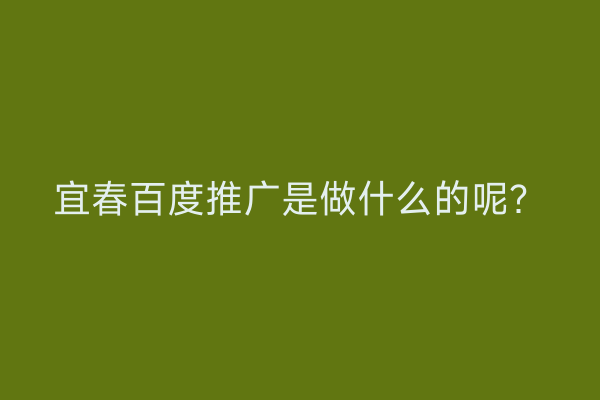 宜春百度推广是做什么的呢?