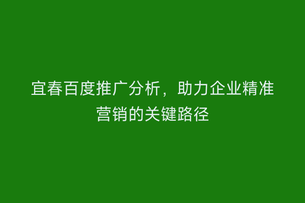 宜春百度推广分析,助力企业精准营销的关键路径