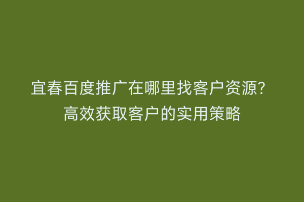 宜春百度推广在哪里找客户资源?高效获取客户的实用策略