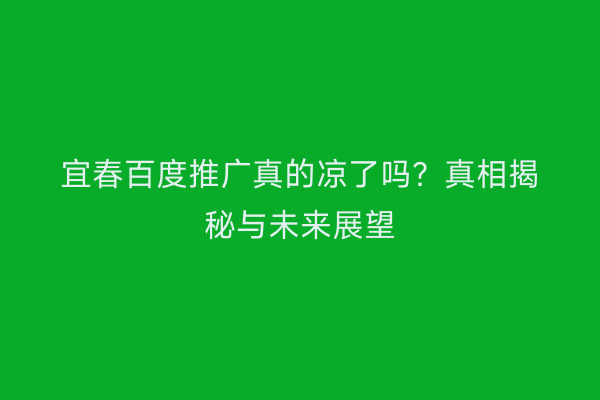 宜春百度推广真的凉了吗？真相揭秘与未来展望