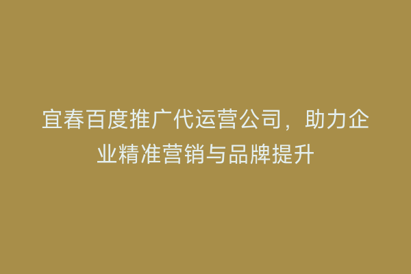 宜春百度推广代运营公司,助力企业精准营销与品牌提升