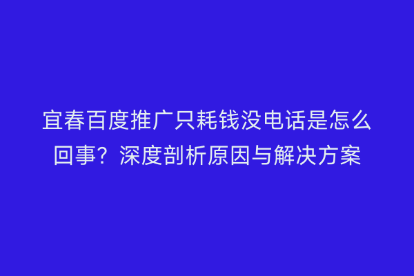宜春百度推广只耗钱没电话是怎么回事？深度剖析原因与解决方案