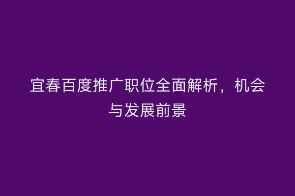 宜春百度推广职位全面解析，机会与发展前景