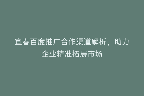 宜春百度推广合作渠道解析,助力企业精准拓展市场
