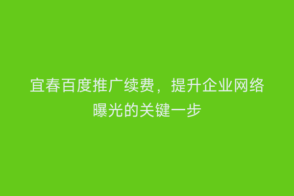 宜春百度推广续费,提升企业网络曝光的关键一步