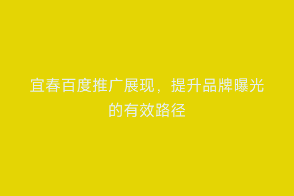 宜春百度推广展现,提升品牌曝光的有效路径
