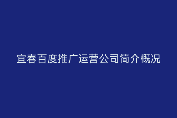 宜春百度推广运营公司简介概况