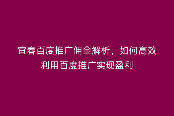 宜春百度推广佣金解析，如何高效利用百度推广实现盈利