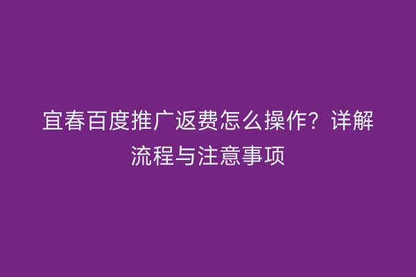 宜春百度推广返费怎么操作?详解流程与注意事项