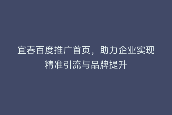 宜春百度推广首页，助力企业实现精准引流与品牌提升