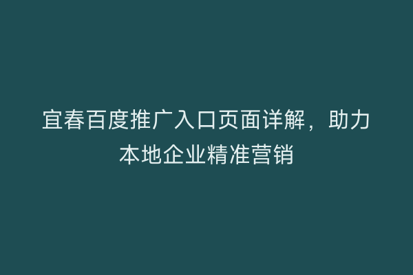 宜春百度推广入口页面详解,助力本地企业精准营销