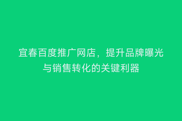 宜春百度推广网店，提升品牌曝光与销售转化的关键利器