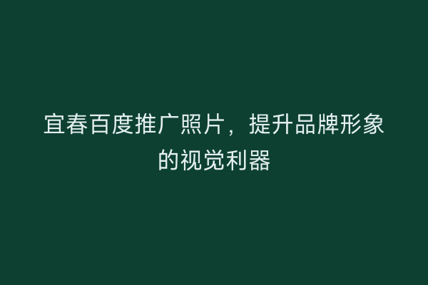 宜春百度推广照片，提升品牌形象的视觉利器