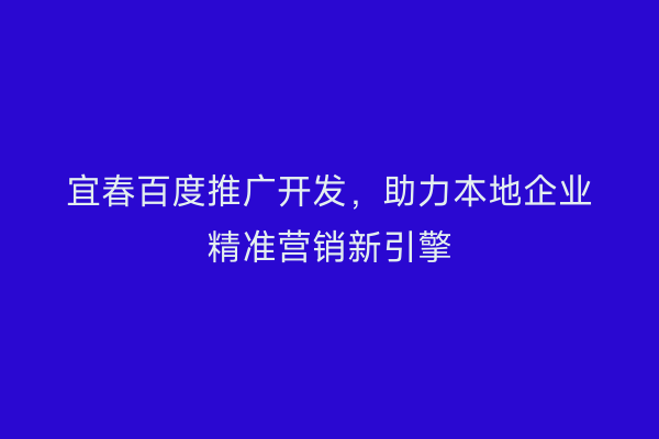 宜春百度推广开发，助力本地企业精准营销新引擎