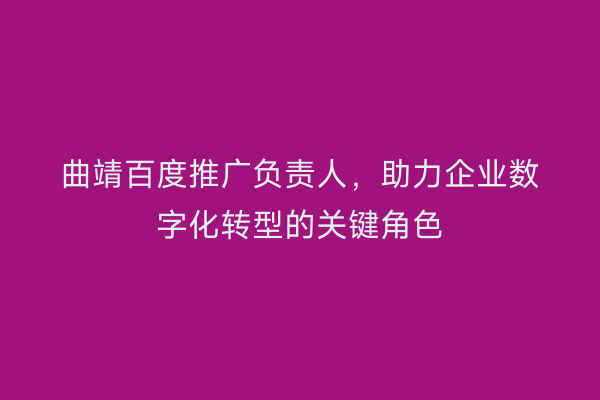 曲靖百度推广负责人,助力企业数字化转型的关键角色