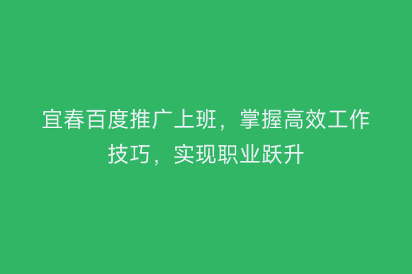 宜春百度推广上班，掌握高效工作技巧，实现职业跃升