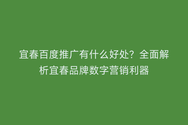 宜春百度推广有什么好处?全面解析宜春品牌数字营销利器
