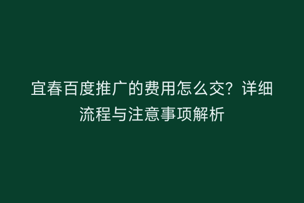 宜春百度推广的费用怎么交？详细流程与注意事项解析