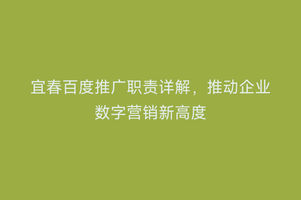 宜春百度推广职责详解，推动企业数字营销新高度