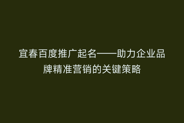 宜春百度推广起名——助力企业品牌精准营销的关键策略