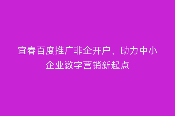 宜春百度推广非企开户,助力中小企业数字营销新起点
