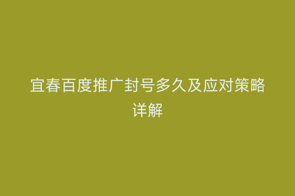 宜春百度推广封号多久及应对策略详解