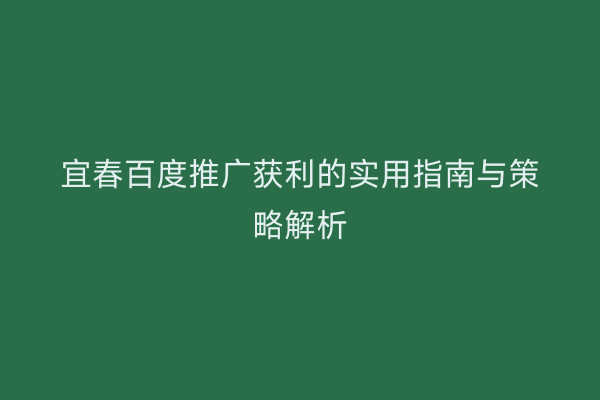 宜春百度推广获利的实用指南与策略解析