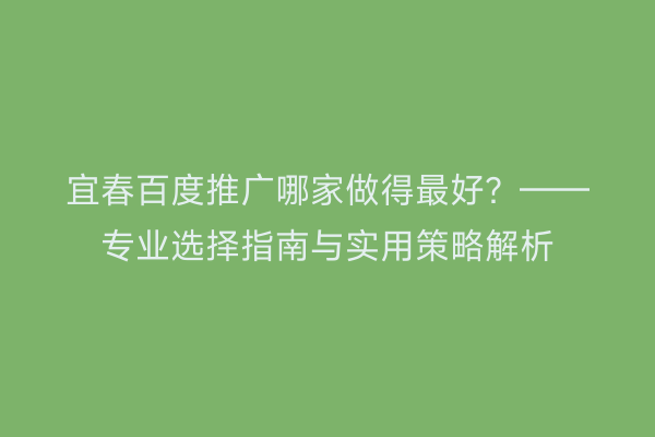 宜春百度推广哪家做得最好？——专业选择指南与实用策略解析
