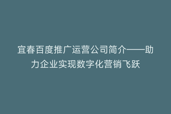 宜春百度推广运营公司简介——助力企业实现数字化营销飞跃