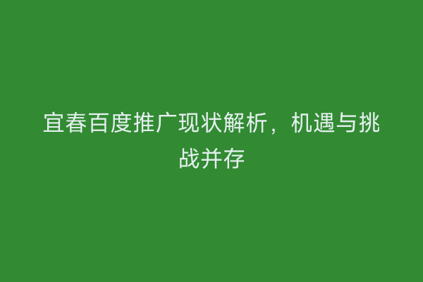 宜春百度推广现状解析,机遇与挑战并存