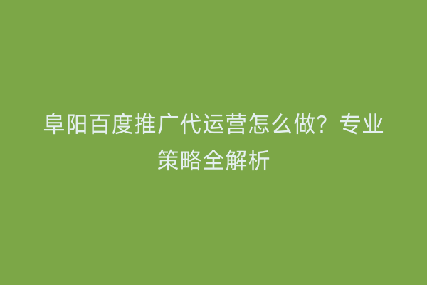 阜阳百度推广代运营怎么做？专业策略全解析
