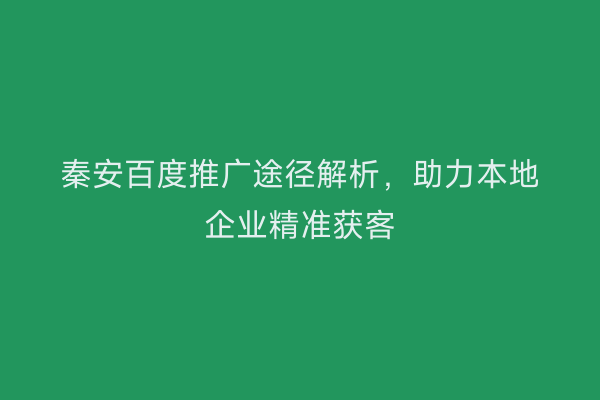 秦安百度推广途径解析,助力本地企业精准获客