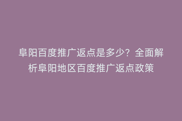 阜阳百度推广返点是多少？全面解析阜阳地区百度推广返点政策