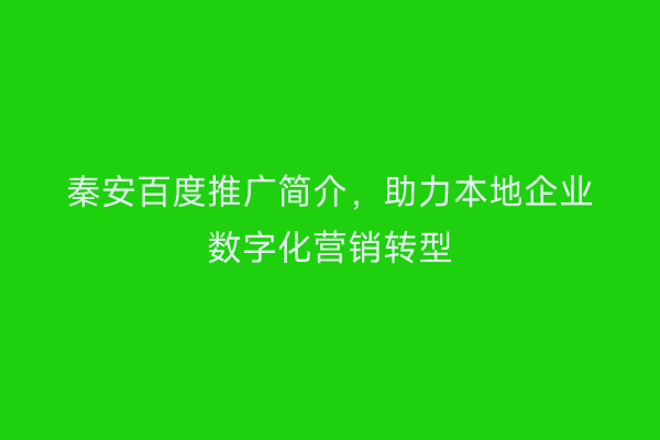 秦安百度推广简介,助力本地企业数字化营销转型