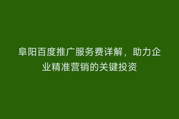 阜阳百度推广服务费详解，助力企业精准营销的关键投资