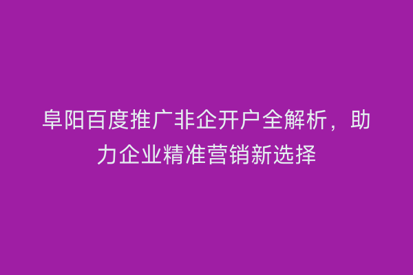 阜阳百度推广非企开户全解析,助力企业精准营销新选择