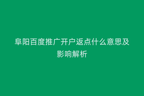 阜阳百度推广开户返点什么意思及影响解析