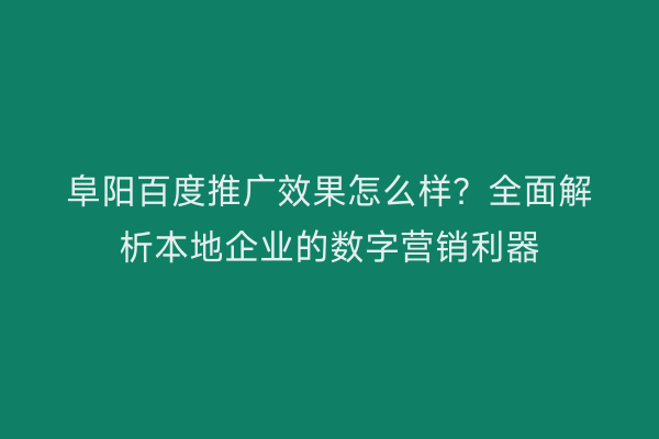 阜阳百度推广效果怎么样？全面解析本地企业的数字营销利器