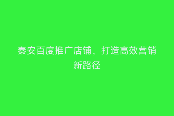 秦安百度推广店铺,打造高效营销新路径