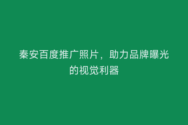 秦安百度推广照片,助力品牌曝光的视觉利器