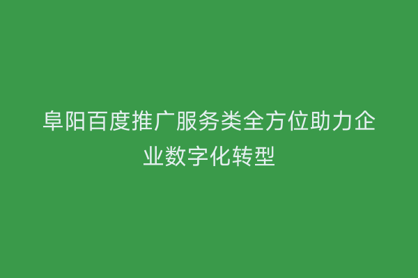 阜阳百度推广服务类全方位助力企业数字化转型